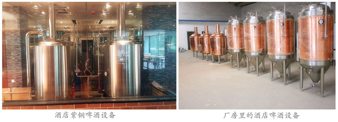 紫铜精酿华体(中国) 紫铜精酿华体(中国)