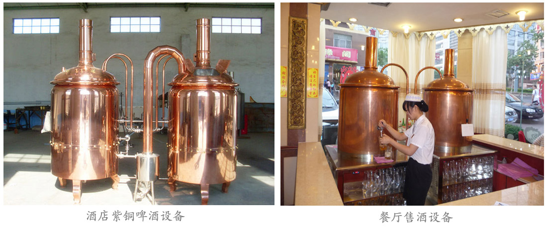 紫铜华体(中国) 紫铜华体(中国)