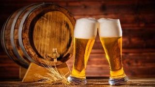 精酿华体(中国) 精酿华体(中国)