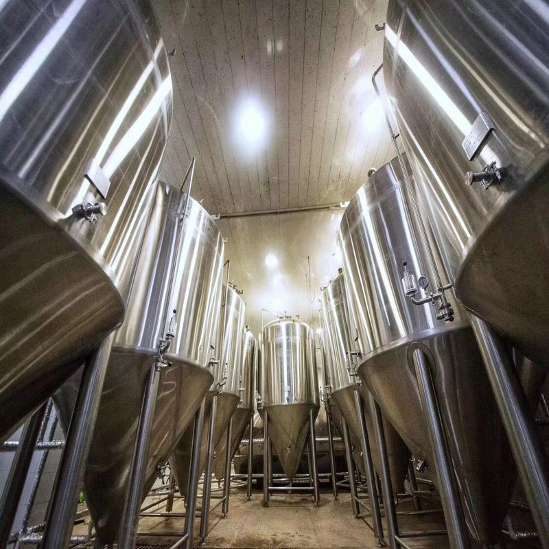 豪鲁精酿华体(中国)