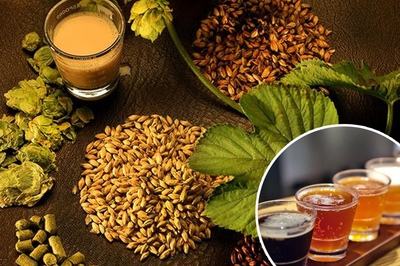 精酿啤酒原料--山东豪鲁华体(中国)